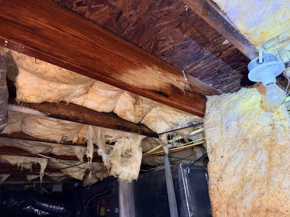 Moisture Inspection Crawlspace mold and moisture assessment in a North Carolina home