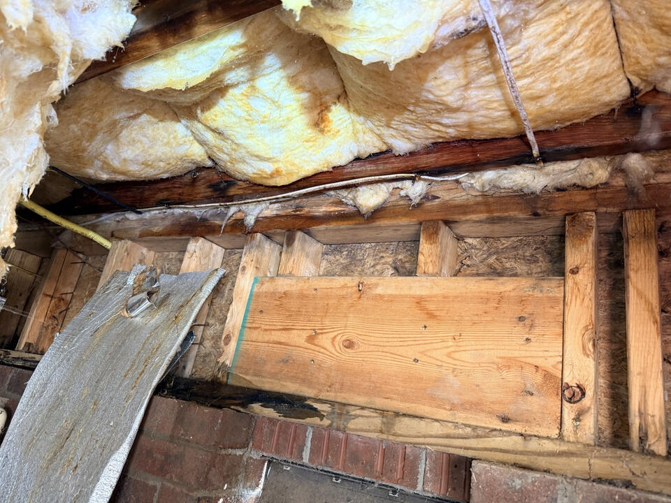 Structural Conditions Structural wood and framing conditions identified during a crawlspace assessment